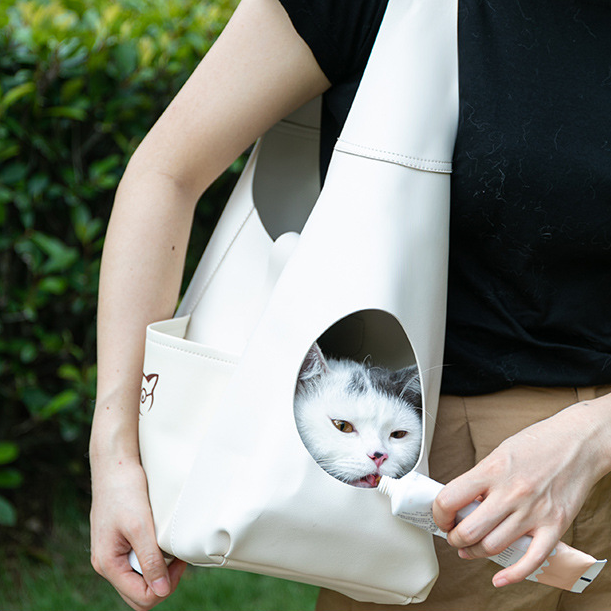 Cat Carrier Purse with Pockets, Portable Small Dog/Cat Soft-Sided Carrier with Adjustable Safety Tether