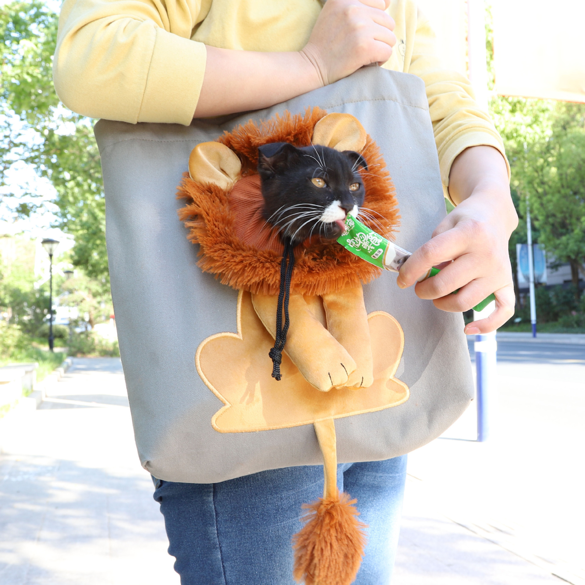 Cute Lion Shape Shoulder Pet Canvas Bag -Portable Small Dog cat Out Shoulder Bag