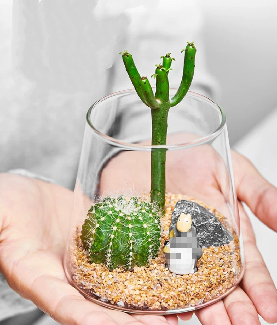 Glass Planter - Unique Mini Terrarium for Plants - Cute Hydroponic Indoor Planters Gifts for Women Room