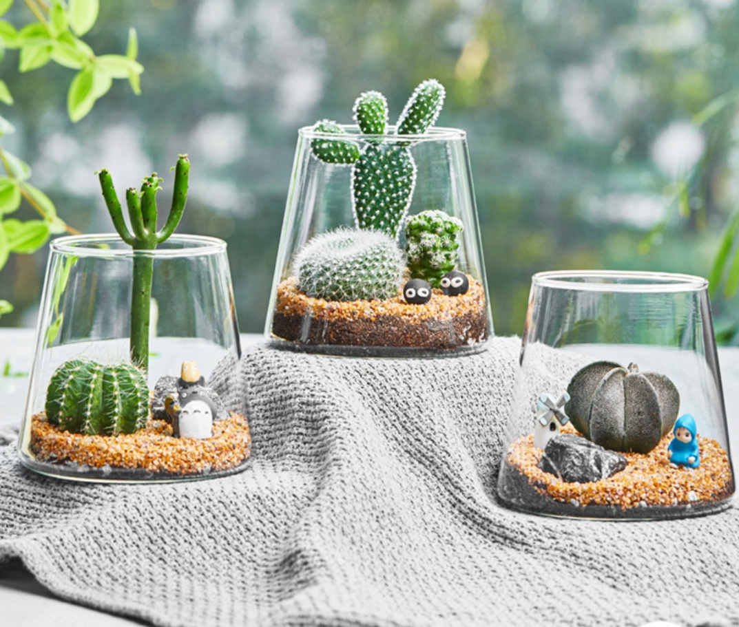 Glass Planter - Unique Mini Terrarium for Plants - Cute Hydroponic Indoor Planters Gifts for Women Room