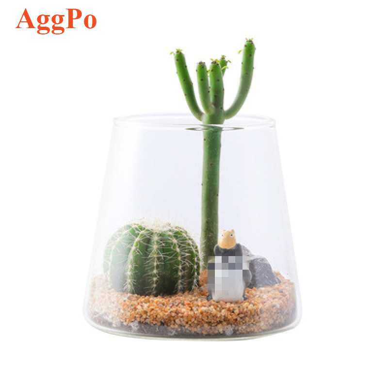 Glass Planter - Unique Mini Terrarium for Plants - Cute Hydroponic Indoor Planters Gifts for Women Room