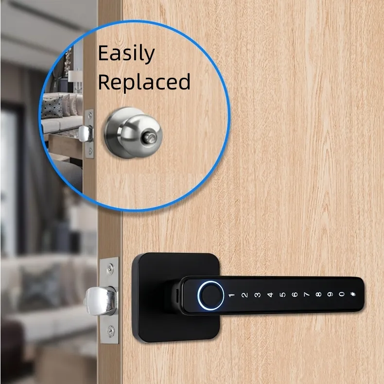 Security Keyless Entry Home Apartment Room Digital Lock TTLock Tuya App Biometric Fingerprint Lever Handle Smart Lock