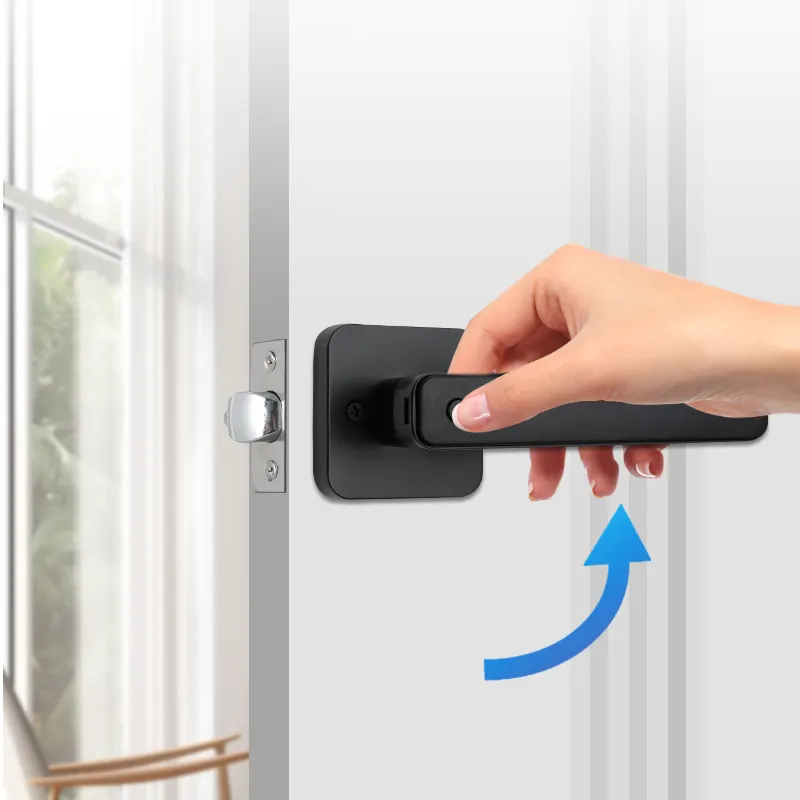 Security Keyless Entry Home Apartment Room Digital Lock TTLock Tuya App Biometric Fingerprint Lever Handle Smart Lock