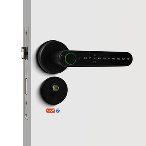 2023 New Arrival Electronic Front Door Smart Tuya TTlock Blue Tooth Mobile App Lever Fingerprint Handle Door Lock