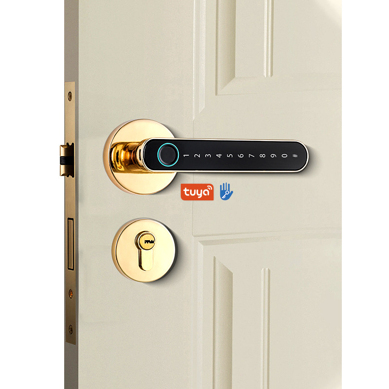 2023 Hot selling Tuya TTlock Smart Door Locks Digital Lock Home Keyless Smart Door lever Lock