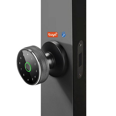 Security Anti-Theft Smart Lock Tuya Wifi Keyless Biometric Round Fingerprint Smart Knob Door Lock