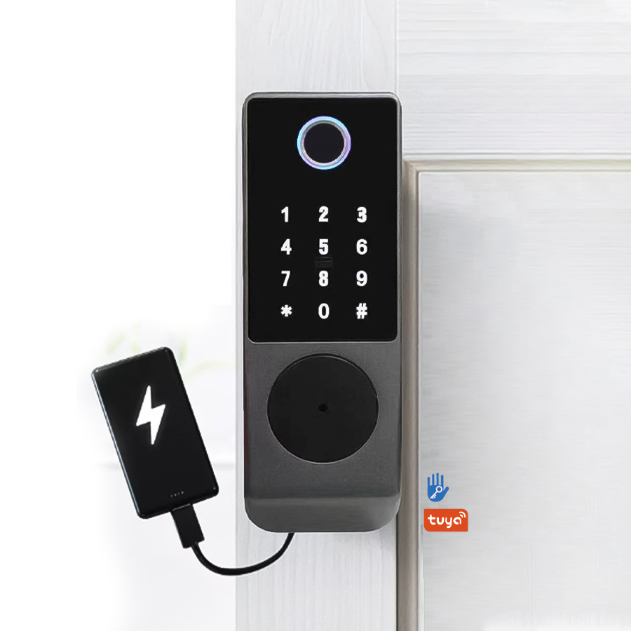 Factory Price Outdoor Waterproof Double Sided Electric Smart Rim Door Fingerprint Lock