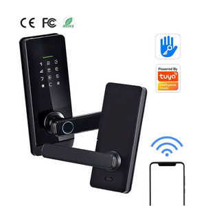 Aether Electric Easy Install Security Tuya Ttlock App Remote Control Smart Door Lock For Home Apartment Hotel