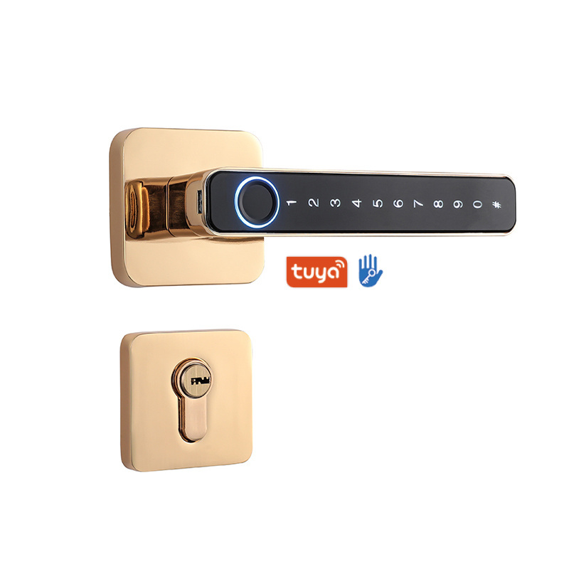 Aether Smart fingerprint tuya app lever lock deadbolt keyless entry door lock wifi for bedroom door