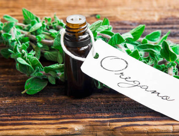 Wholesale 100% Pure Natural Oregano Oil high quality at factory price bulke