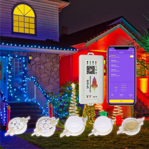 Cost Effective DC24V 50mm 1.64W IP68 Waterproof Holiday Outdoor Decoration Christmas Lights Led Pixel Point Lighting