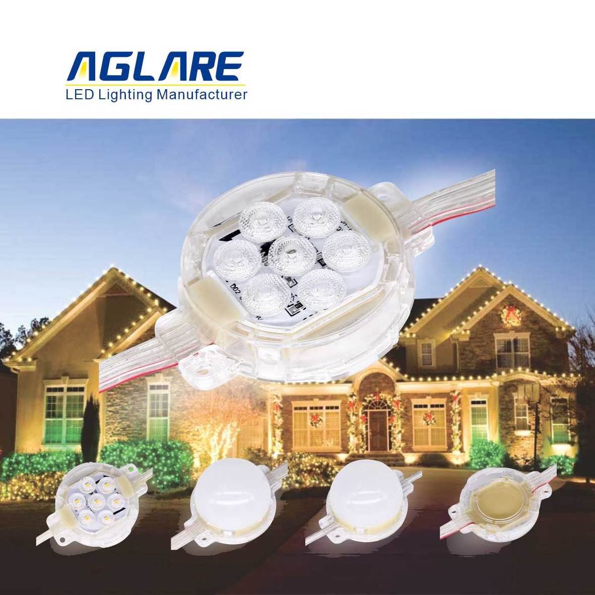 Cost Effective DC24V 50mm 1.64W IP68 Waterproof Holiday Outdoor Decoration Christmas Lights Led Pixel Point Lighting