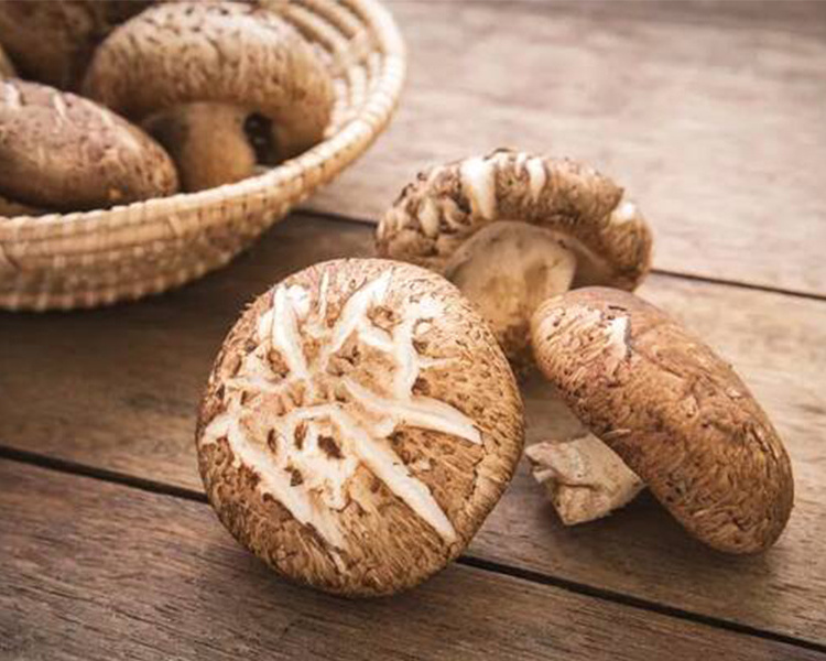 100% Natural Dry  Mushrooms Dried Shiitake Mushroom