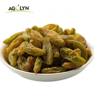 Chinese Raisins Xinjiang Raisins Benefits Dried Green Raisin