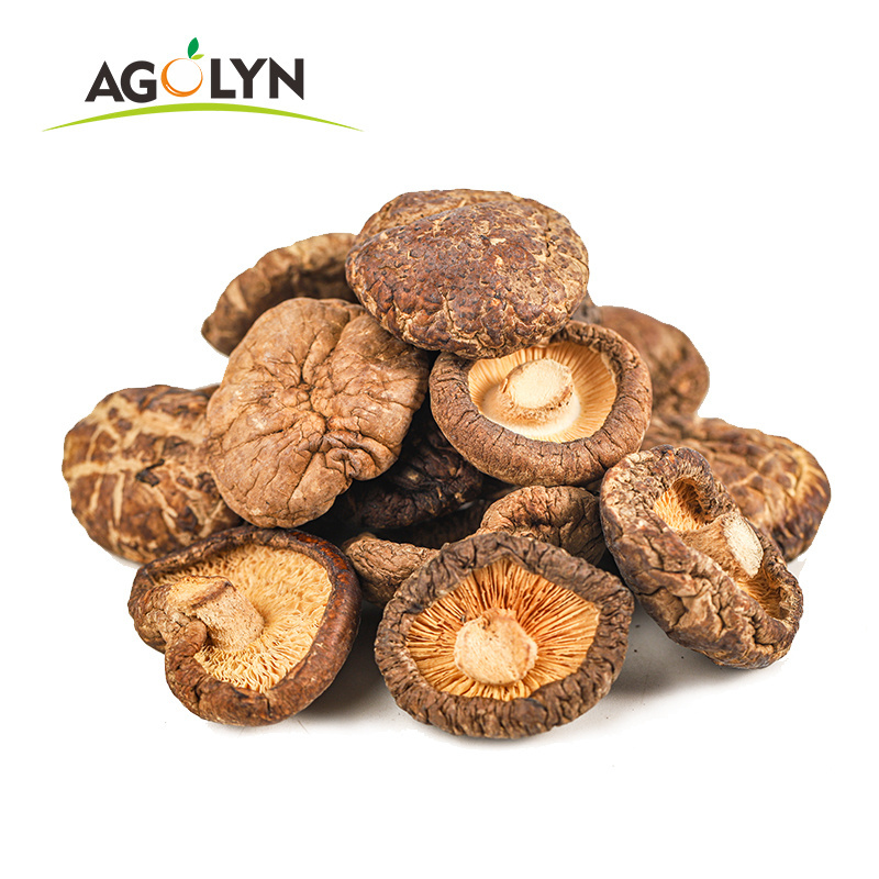 Bulk wholesale All sizes Cultivated Dried shiitake mushroom