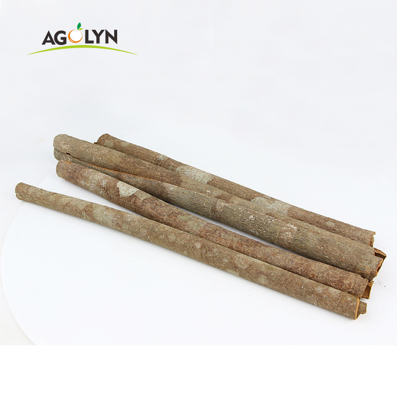 China Pure Cinnamon Square Cut Cinnamon Single Spices Pressed Cassia With High Quality