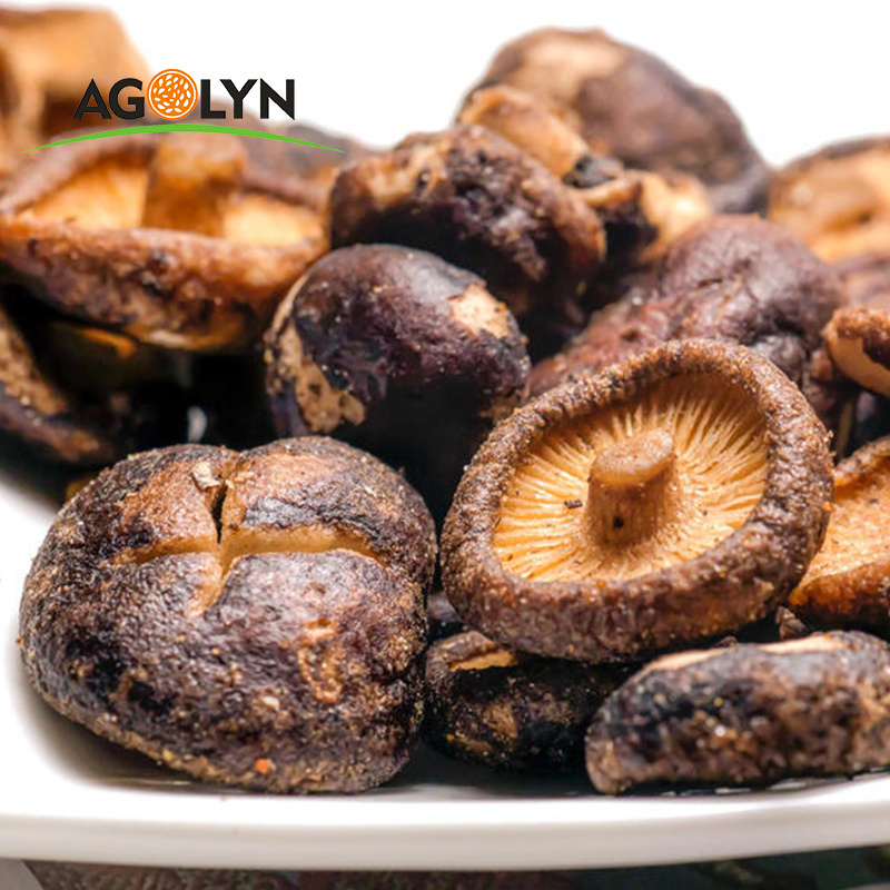 Best selling wholesale good price dried shiitake oyster mushroom