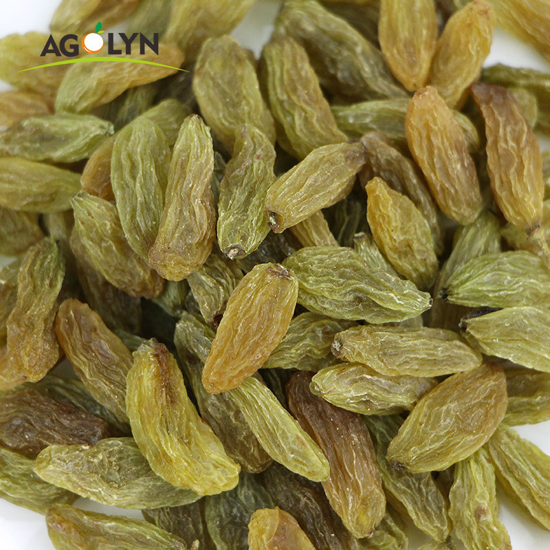 Chinese Raisins Xinjiang Raisins Benefits Dried Green Raisin