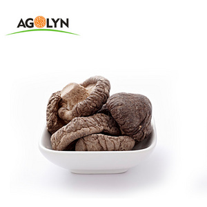 Best selling wholesale good price dried shiitake oyster mushroom