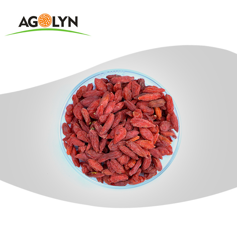 Top Quality Ningxia Wholesale Organic Wolfberry Dried Red Goji Berry