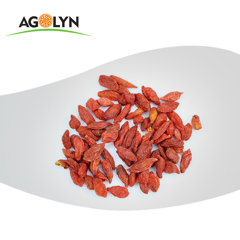 Top Quality Ningxia Wholesale Organic Wolfberry Dried Red Goji Berry