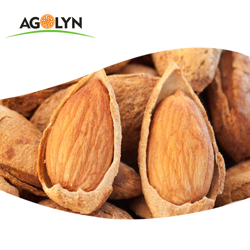 Dry Almond Nuts With Milk Flavor