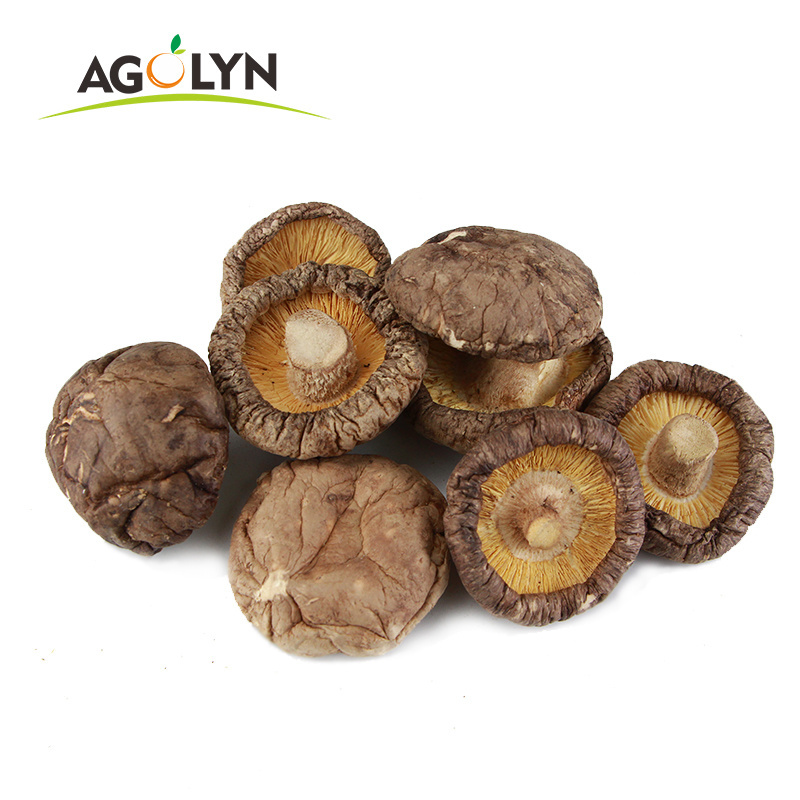 Bulk wholesale All sizes Cultivated Dried shiitake mushroom