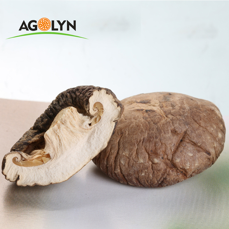 100% Natural Dry  Mushrooms Dried Shiitake Mushroom