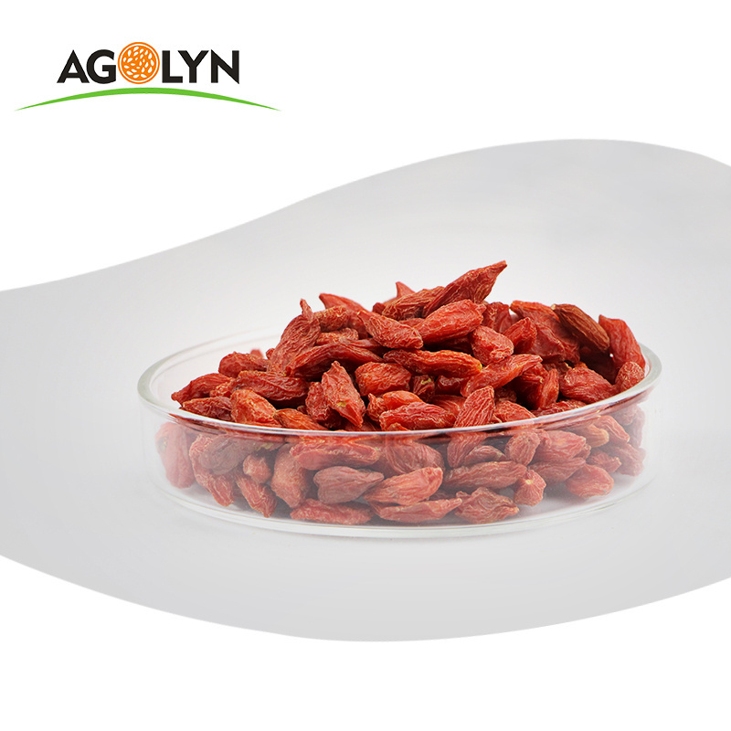 Top Quality Ningxia Wholesale Organic Wolfberry Dried Red Goji Berry