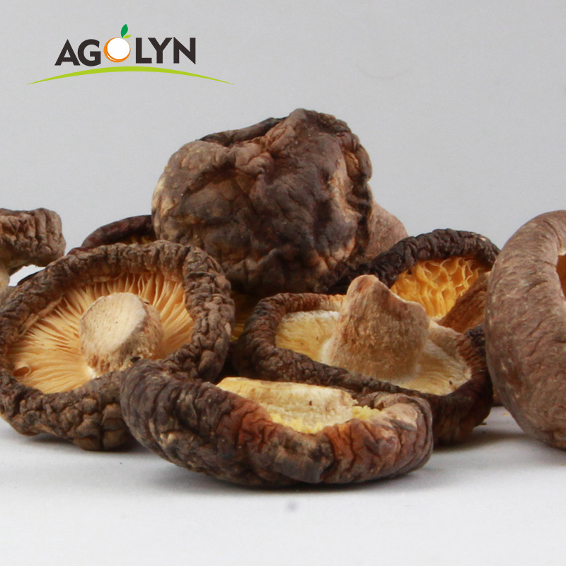 Bulk wholesale All sizes Cultivated Dried shiitake mushroom