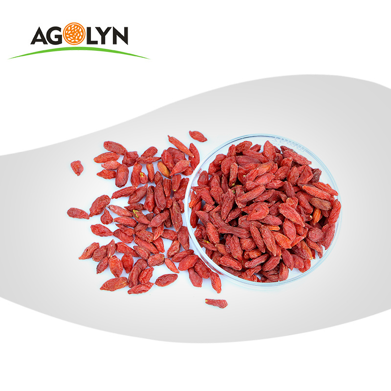 Top Quality Ningxia Wholesale Organic Wolfberry Dried Red Goji Berry