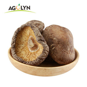 Bulk wholesale All sizes Cultivated Dried shiitake mushroom