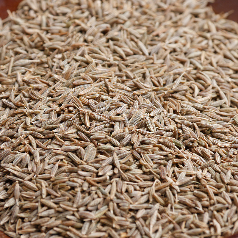 New crop China hot sale best price good quality cumin seeds export