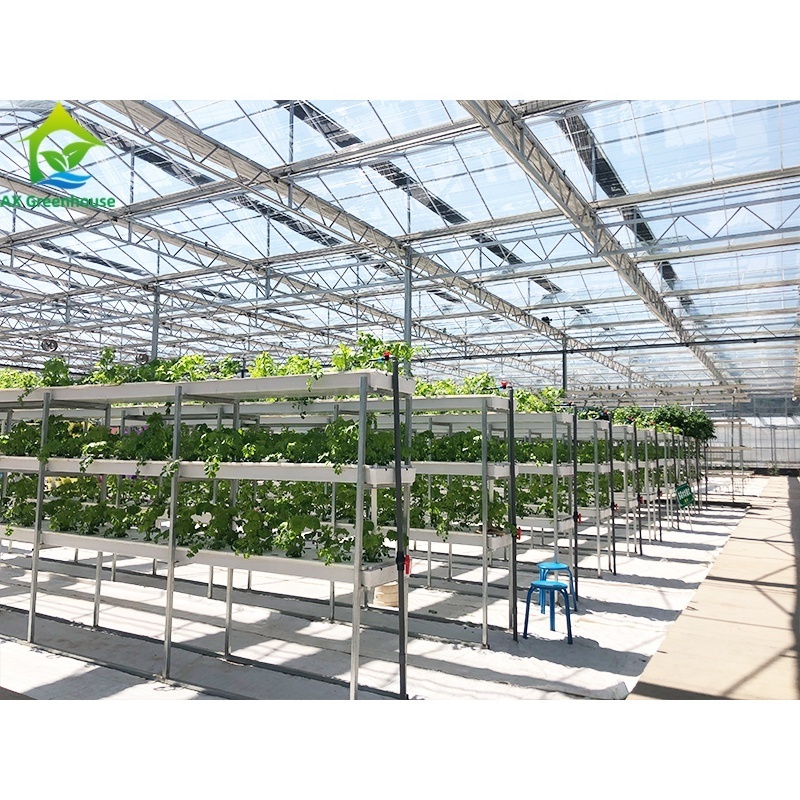 High-tech greenhouse used aquaponics systems for commercial aquaponic sets sale