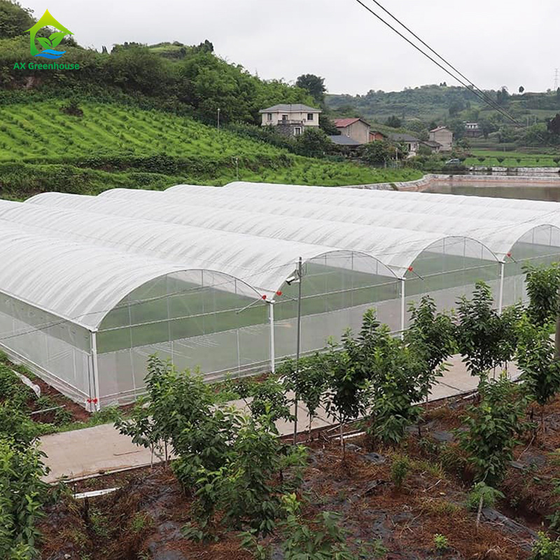 Agriculture Customized Single Span Blackout Greenhouse Metal Frame Shade Net Green House For Sale