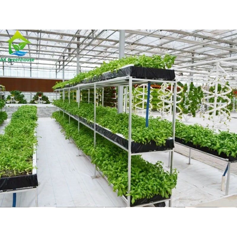 High-tech greenhouse used aquaponics systems for commercial aquaponic sets sale