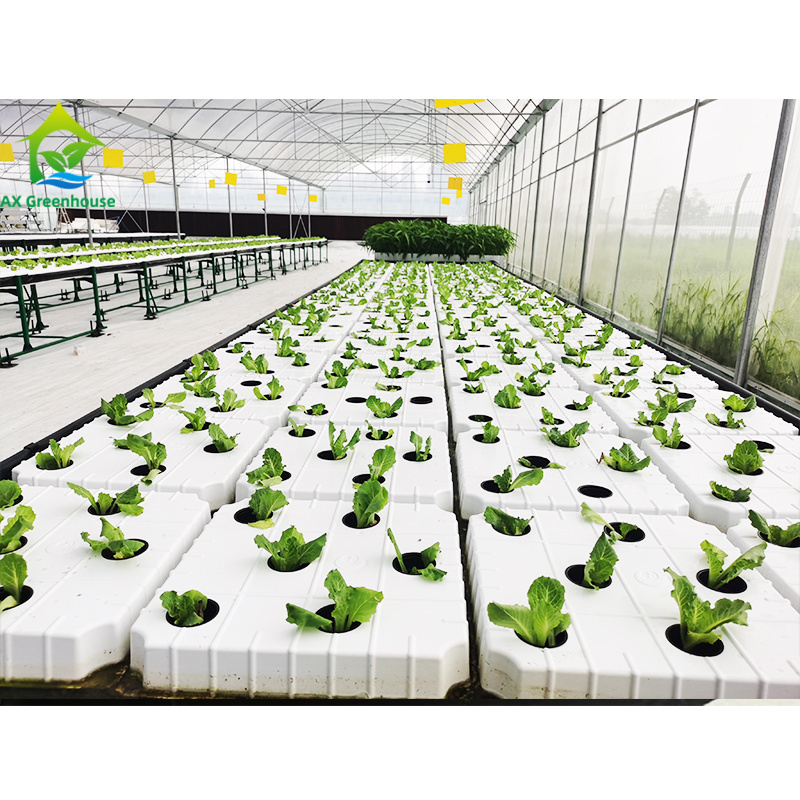 Hydroponic greenhouse shelves with intelligent fertilization system