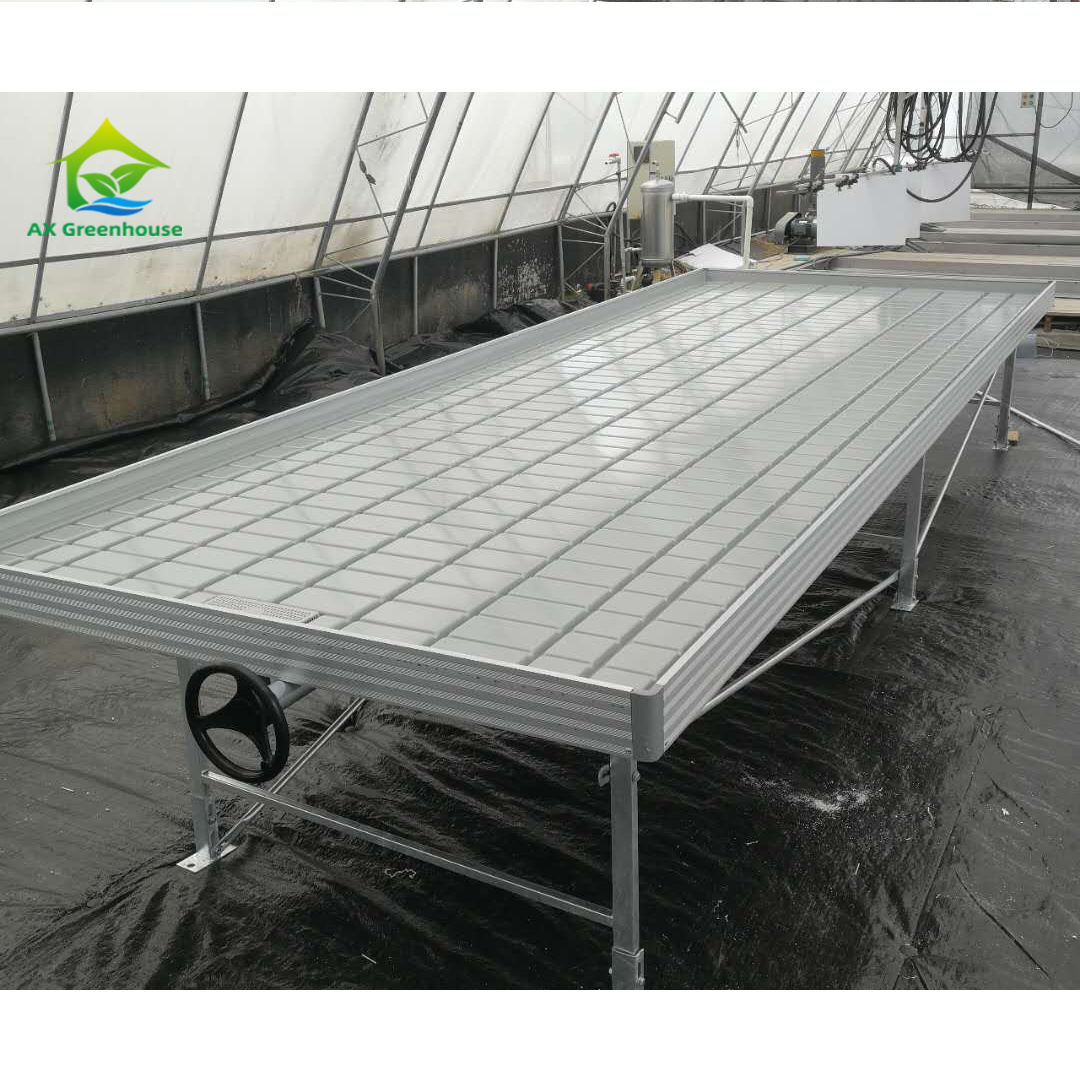 4x8 Flood Table Rolling Bench Greenhouse Ebb Flow Table Movable Grow Tables In Multi-span Greenhouses