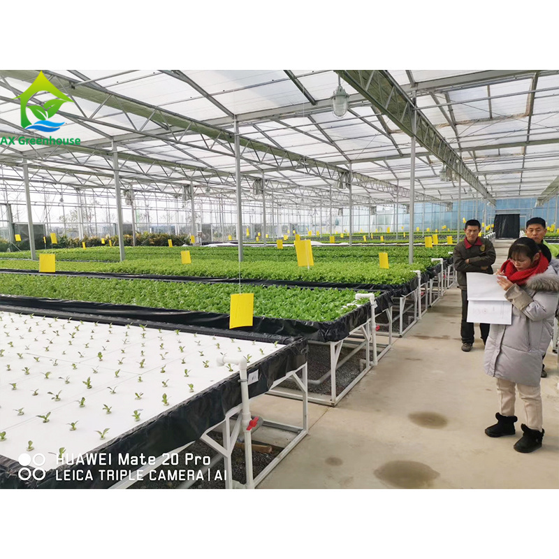 Hydroponic greenhouse shelves with intelligent fertilization system