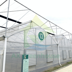 Commercial Tropical Pe Film Plastic Metal Frame Structure Growing Seedling Sawtooth Tunnel Greenhouse For Tomato