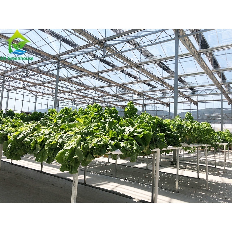 High-tech greenhouse used aquaponics systems for commercial aquaponic sets sale