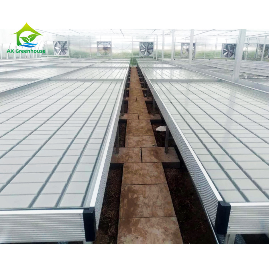 4x8 Flood Table Rolling Bench Greenhouse Ebb Flow Table Movable Grow Tables In Multi-span Greenhouses