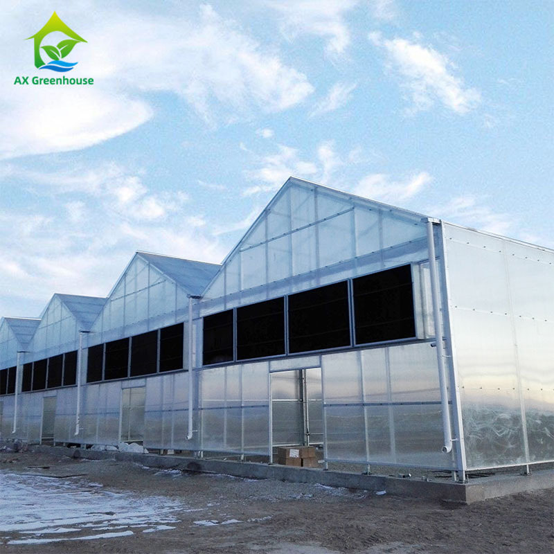 Turnkey project multi span blackout light deprivation greenhouse with LED growing light