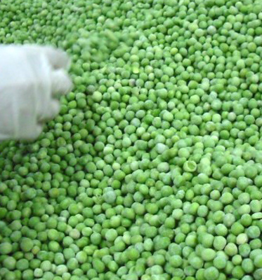 IQF Whole Green Peas