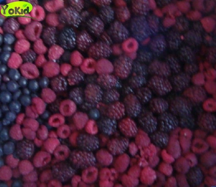 IQF frozen 4 Mixed Berries Products strawberry, blackberry, raspberry, blueberry