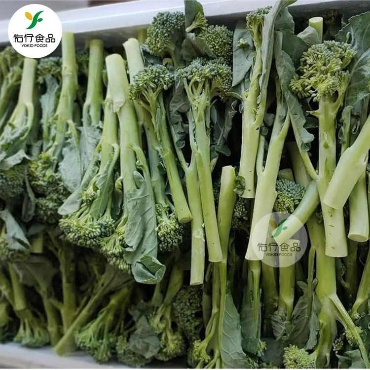 New crop wholesales Fresh broccolini