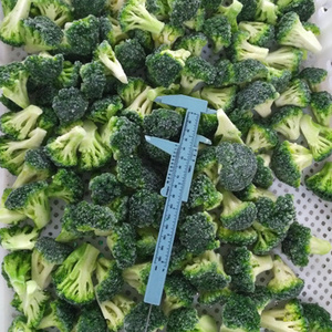 kosher wholesale price high quality grade a iqf fresh green frozen broccoli floret rice