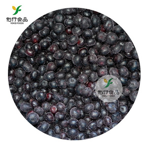 IQF frozen blueberry