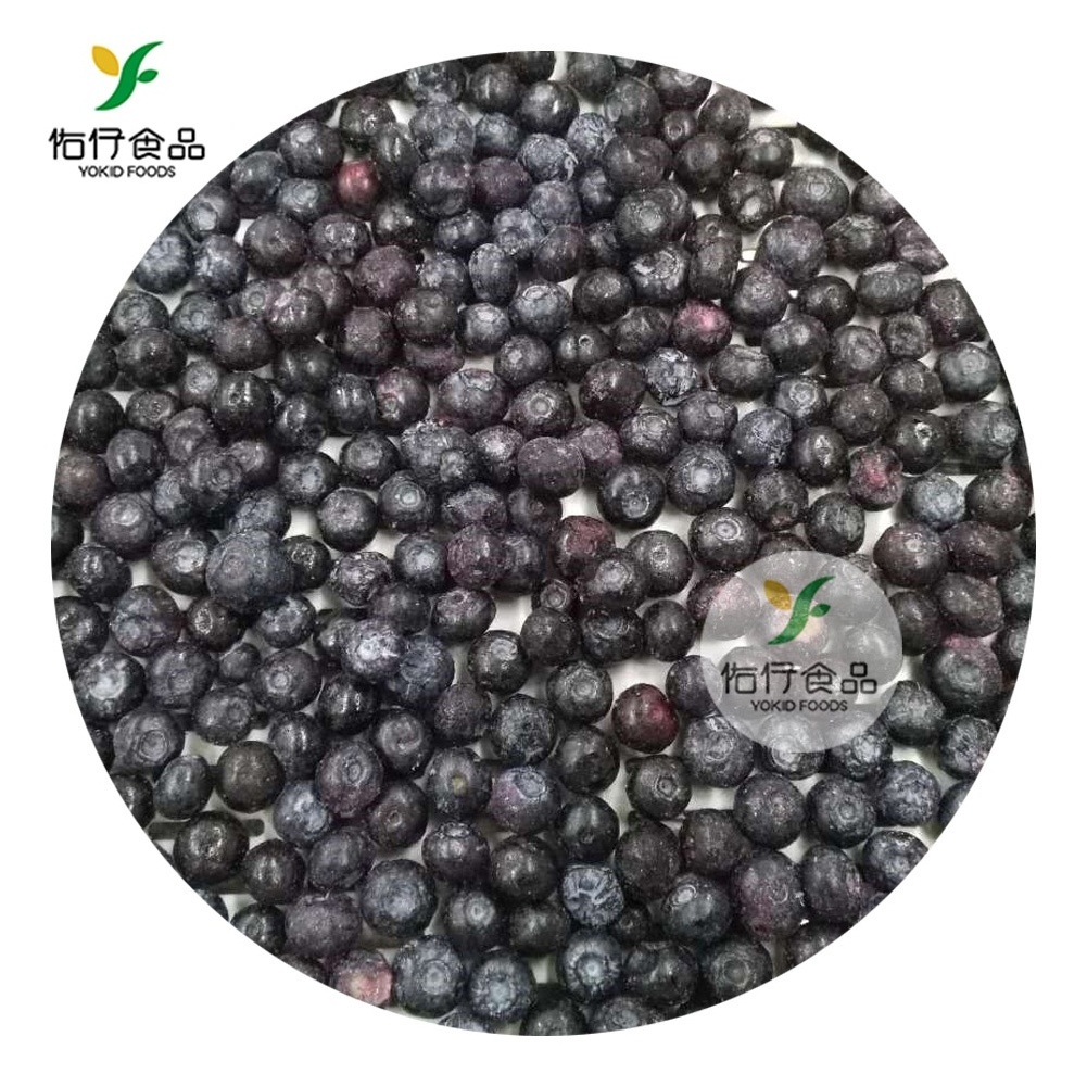 IQF frozen blueberry