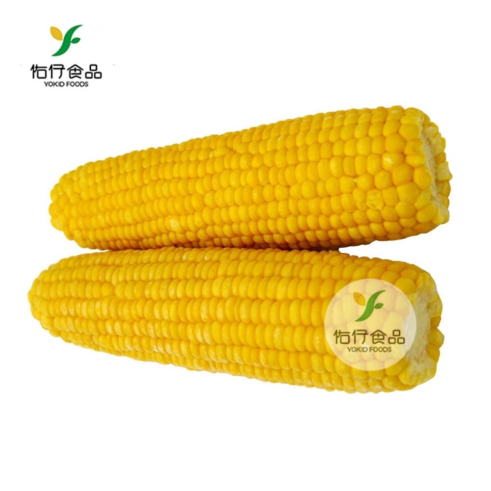 Wholesale IQF Frozen Whole Sweet Kernel Organic Corn Cob Non Cut In Pack